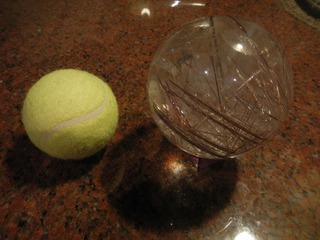 DSCN0106.jpg