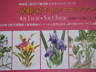 DSCN0634.jpg