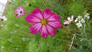 DSC_0065.jpg