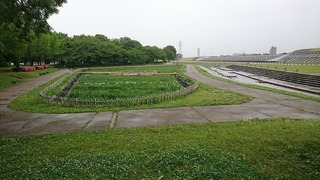 DSC_0070.jpg
