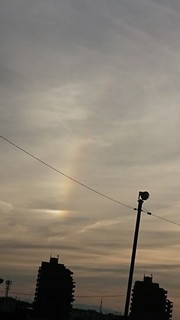 DSC_0078.jpg
