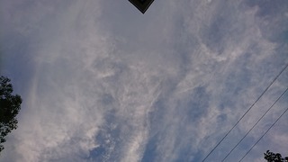 DSC_0087.jpg