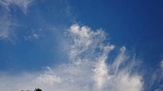 DSC_0143.jpg