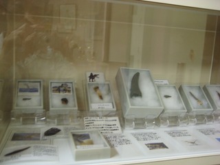 IMG_3516.jpg