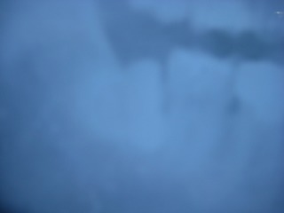 IMG_3623.jpg